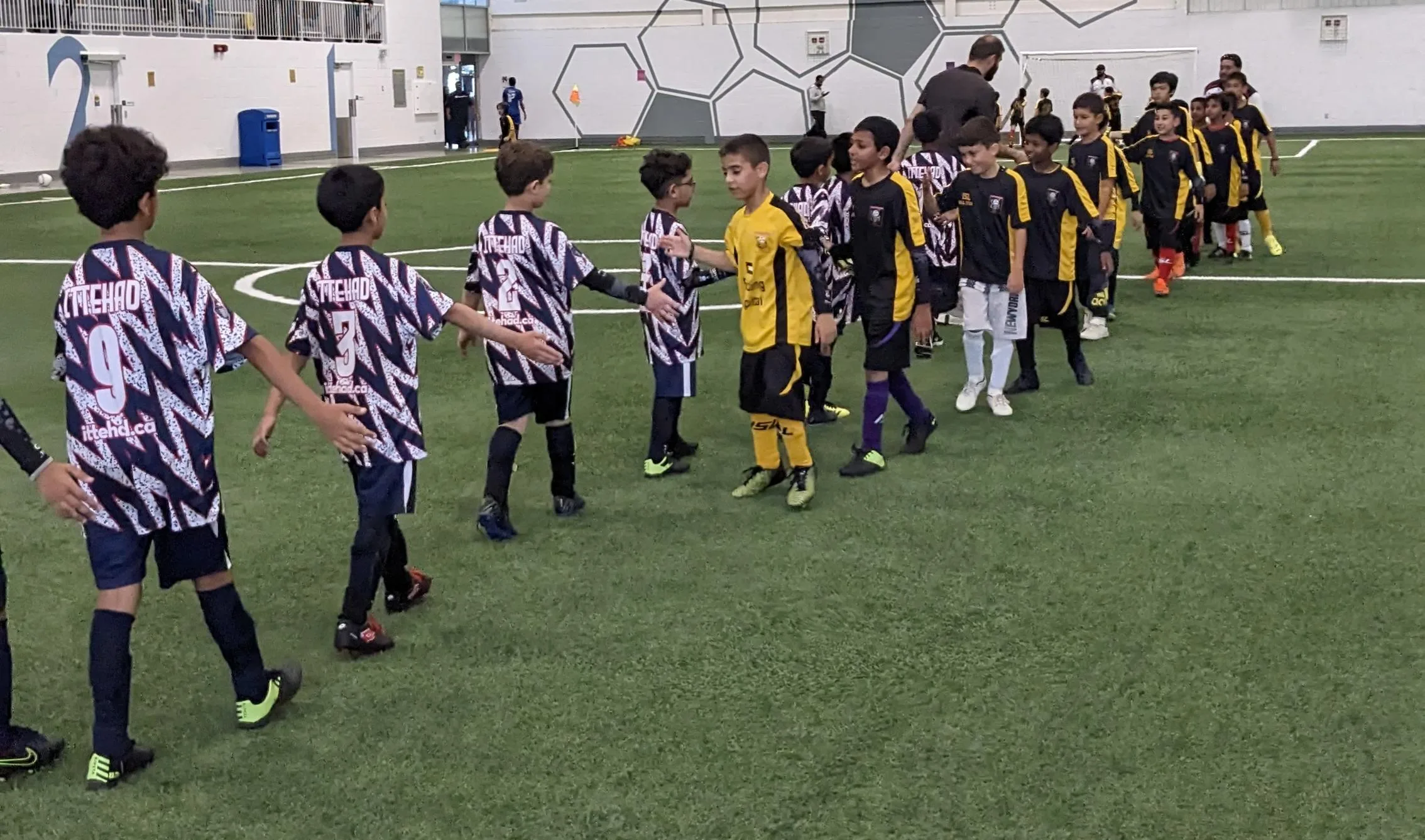 PXL_20240629_173102875 crop